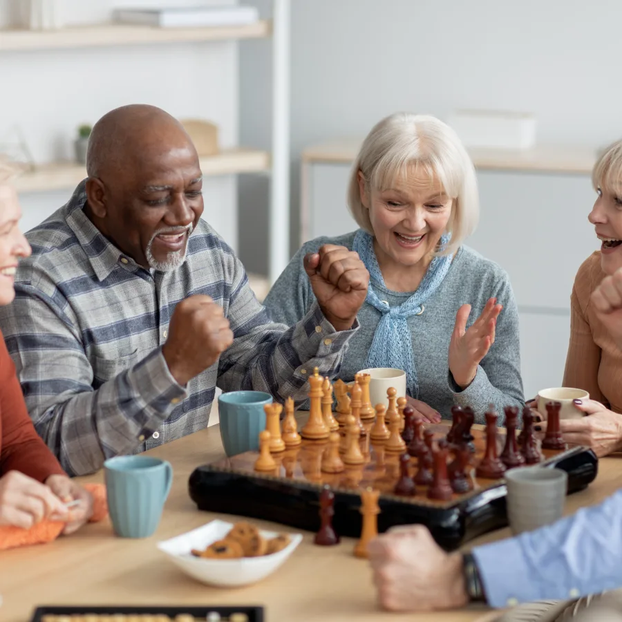 Companionship activities senior care Kent